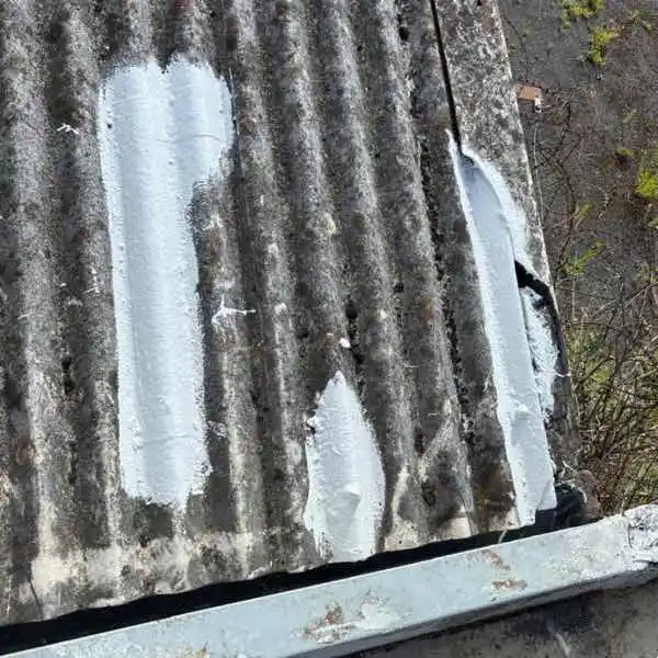 Professional Lava 20 bolt penetration repair on asbestos roof showing instant-cure waterproofing system sealing metal fastener leaks with UV-stable topcoat